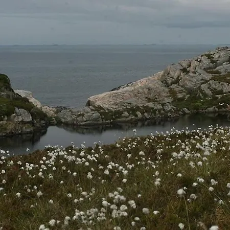 Cozy Near Center And Nature