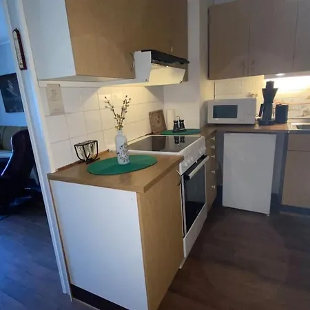 公寓 Cozy Near Center And Nature