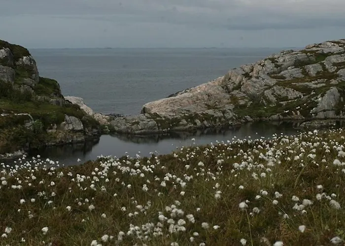 Cozy Near Center And Nature