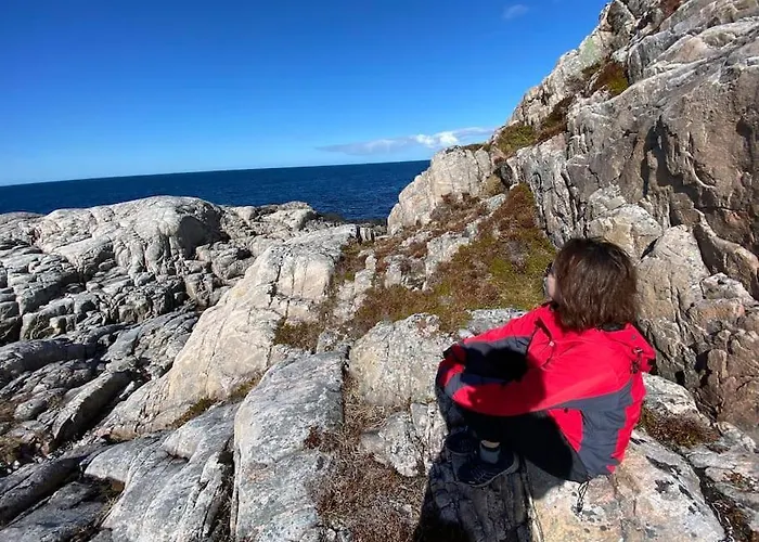 Cozy Near Center And Nature Lägenhet *