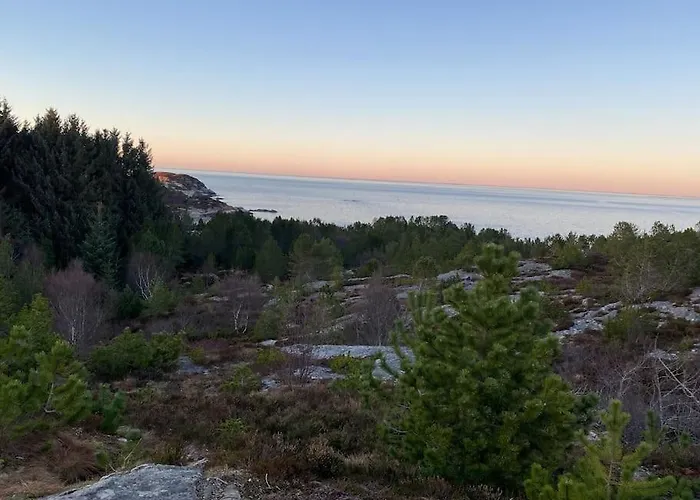 Cozy Near Center And Nature Lägenhet *